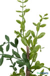 Macro detail of artificial boxwood leaves showing lifelike color variation and texture faux plant ShopWildThings.com