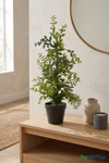 Artificial boxwood tree 24 inch tabletop faux plant in black plastic pot realistic greenery decor ShopWildThings.com