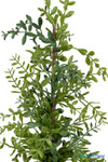 Close up of artificial boxwood tree foliage showing realistic leaf texture and branch detail tabletop faux plant ShopWildThings.com