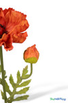 Single Stem with Flower and Bud Orange Poppy Flower, Artificial Wedding Bouquet, Bendable Centerpiece Flowers, Quality Florals by ShopWildThings.com