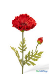 Single red poppy stem with open bloom and bud, realistic foliage and curved stem for natural wildflower styling