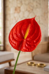 Detailed editorial close-up of Real Feel Red Anthurium artificial flower with glossy red real-touch bloom and yellow spadix in a warm tropical interior