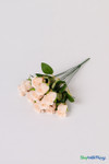 Deluxe Rose Bud Bouquet Bundle 12 Stems ‚ Peach 19.5" Tall