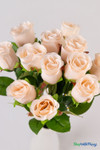 Deluxe Rose Bud Bouquet Bundle 12 Stems ‚ Peach 19.5" Tall