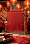 String Curtain Red 3FT x 3FT (36") - Polyester & Cotton (trimmable length!) Color #12