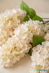 43" Deluxe Artificial Ivory Hydrangea Cone Flower Stems from ShopWildThings.com close-up showing soft ivory cone flowers and realistic green leaves