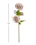 Oversized Champagne Velvet Roses on Stem 52" with measurement guide showing two large blooms, two rose buds, and green leaves, ShopWildThings.com