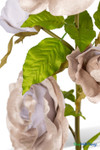 Oversized Champagne Velvet Roses on Stem 52" close-up showing champagne faux velvet rose blooms and realistic green leaves, ShopWildThings.com