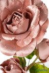 Oversized Mauve Pink Velvet Roses on Stem 52" macro detail showing soft mauve pink velvet petals and realistic rose texture, ShopWildThings.com