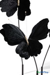 Giant Oversized Velvet Butterfly, Black 27" x 22" for events, props | ShopWildThings.com