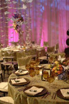 Butterfly Garlands Cascading from the Ceiling Fill Air Space while Creating a Dreamy Atmosphere, ShopWildThings.com