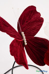 Giant Oversized Velvet Butterfly, Dark Red 26" x 22" for events, props | ShopWildThings.com