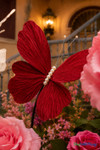 Giant Oversized Velvet Butterfly, Red 22" x 20" for events, props | ShopWildThings.com