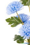 Blue Faux Chrysanthemum Bouquet – 27" Faux Floral Stem (8 Heads) close-up showing soft blue petals, realistic green leaves, and detailed faux stem texture, ShopWildThings.com