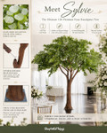 12ft Premium Faux Eucalyptus Tree