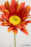 Persimmon Red Oversized Daisies, Roses & Sunflowers for Photo and Party Fun at ShopWildThings.com