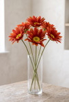 Persimmon Red Oversized Daisies, Roses & Sunflowers for Photo and Party Fun at ShopWildThings.com