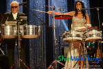 Crystal Beaded Columns with Hanging Chain, Top Frame Can Support Light Kit or LED Downlights, ShopWildThings.com