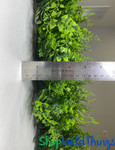 Height of Artificial Landscape Greenery Living Walls ShopWildThings Fire Rated Height of Artificial Landscape Greenery Living Walls ShopWildThings Fire Rated