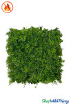 Commercial Fire Rated Ferns Assorted Foliage Greenery Walls High End Fire Rated UV indoor outdoor ShopWildThings.com Commercial Fire Rated Ferns Assorted Foliage Greenery Walls High End Fire Rated UV indoor outdoor ShopWildThings.com
