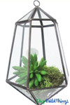 Geometric Hanging Terrarium & Candle Holder - Black - 10 " Tall Diamond Geometric Hanging Terrarium & Candle Holder - Black - 10 " Tall Diamond