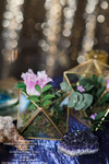 Adding Succulents always give terrariums a pop of nature to your event | ShopWildThings Adding Succulents always give terrariums a pop of nature to your event | ShopWildThings