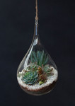 Tear Drop Blown Glass Terrarium / Birdfeeder 10" x 5.5" (Hanging or Tabletop) | ShopWildThings