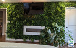 Imagine waking up to this view every morning! The blend of vibrant green foliage against the calming backdrop creates a statement wall that's simply enchanting. ?This incredible statement wall is decked out with 40" x 40" Paradise Greenery Wall Panels by ShopWildThings.com! These indoor/outdoor UV Artificial Greenery Panels make it easy to get that jungle bedroom look or that zen spot in the backyard.