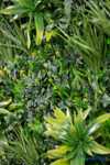 Close up of high density artificial greenery wall mat showing realistic ferns ivy grasses and layered foliage textures – 2" to 7" depth – FR Class C fire treated backdrop panel