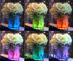 Change the Color of a Vase with a ShopWildThings.com Light Disc Underneath