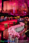 String Curtains for Events | Choose Color, Length, Hanging Options, Fire Treatment | ShopWildThings.com
