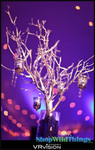Manzanita Trees are A Wonderful Medium To Hold Crystal Bead Strands, Flowering Sprays or Hanging Candle Holders | ShopWildThings.com