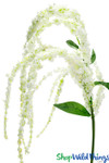 Artificial green garland | Draping florals | Amaranthus stem | Bridal bouquet flowers | ShopWildThings.com Artificial green garland | Draping florals | Amaranthus stem | Bridal bouquet flowers | ShopWildThings.com