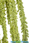 Faux amaranthus spray | Flowers for centerpieces | Hanging greenery garlands | ShopWildThings.com