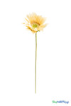 Honey Oversized Daisies, Roses & Sunflowers for Photo and Party Fun at ShopWildThings.com
