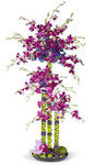 COMING SOON! Centerpiece Riser - "Lomey Column" - 30" Tall (Use to Elevate Your Displays!) COMING SOON! Centerpiece Riser - "Lomey Column" - 30" Tall (Use to Elevate Your Displays!)