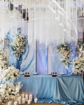 From Ceiling to Backdrop, Fringe String Curtains by ShopWildThings.com Can Do It All! Create a stunning backdrop or add a touch of magic to your ceiling. Choose from our ready-to-go colors or customize them to match your event perfectly. Need Fire Rated Decor? We offer FR String Curtains as Well!

Blue White and Gold Wedding Reception with String Fringe Curtain Ceiling Decor