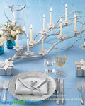 Large Manzanita Branches from ShopWildThings.com, Use in Centerpiece Vases or Hang on a Wall