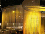 String Curtains Add Drama & Flair to Clubs & Retail Stores, at Conventions & Trade Shows, Custom Colors & Lengths by ShopWildThings.com