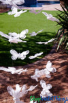 ShopWildThings Butterfly Garlands Are Super Elegant with Ornate Designs ShopWildThings Butterfly Garlands Are Super Elegant with Ornate Designs