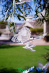 Use Butterfly Garlands for Photo Props by ShopWildThings.com Use Butterfly Garlands for Photo Props by ShopWildThings.com