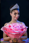 Oversized Roses for Props, Party Decor and Retail Store Displays by ShopWildThings.com Oversized Roses for Props, Party Decor and Retail Store Displays by ShopWildThings.com