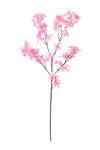 Pink Dogwood Blossom Spray Floral Design Artificial Tall Stems ShopWildThings.com Pink Dogwood Blossom Spray Floral Design Artificial Tall Stems ShopWildThings.com