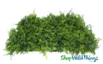 Ferns and Mixed Plants Greenery Wall Backdrop Best Quality by ShopWildThings Ferns and Mixed Plants Greenery Wall Backdrop Best Quality by ShopWildThings