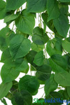 Real Touch Real Feel Ivy Spray Bush Artificial Greenery | ShopWildThings.com