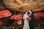 Bold Wedding Decor with Oversized Roses
Oversized flowers make a major impact! These Jumbo and Giant Roses from ShopWildThings were used in several sizes and shades—some kept in their original colors, others custom-painted to match the couple's palette. A showstopping floral statement for a bold and romantic celebration.
Coral, Pink, Red, Peach Wedding Ceremony Decor