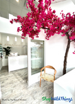 Our fabulous Fuchsia Pink "Sideswept" Tree makes that WOW moment for guests before they even step into the salon!

Available in several ready-to-go styles, or create your own tree with our Replacement Branch collection, the "Sideswept" trees are guaranteed wow moments for any location they are put!
Shop now at ShopWildThings.com to create that extra special moment in your salon and spa!

#enchantingdecor #pinktree #fuchsiatree #artificialfloweringtrees #fauxpinktrees