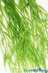 Willow branch sprays | Centerpiece greenery | Draping vines for floral ceiling installations | ShopWildThings.com
