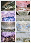 Wedding & Event Decorations | Ceiling Drapes | ShopWildThings.com