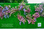 Boxwood Wall Backdrop for Photos and special events